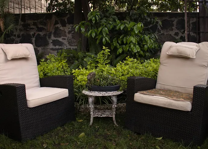 Apartment El Domo Jardin En Coyoacan Mexico City
