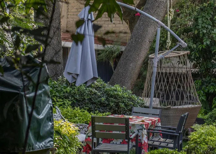 El Domo Jardin En Coyoacan *